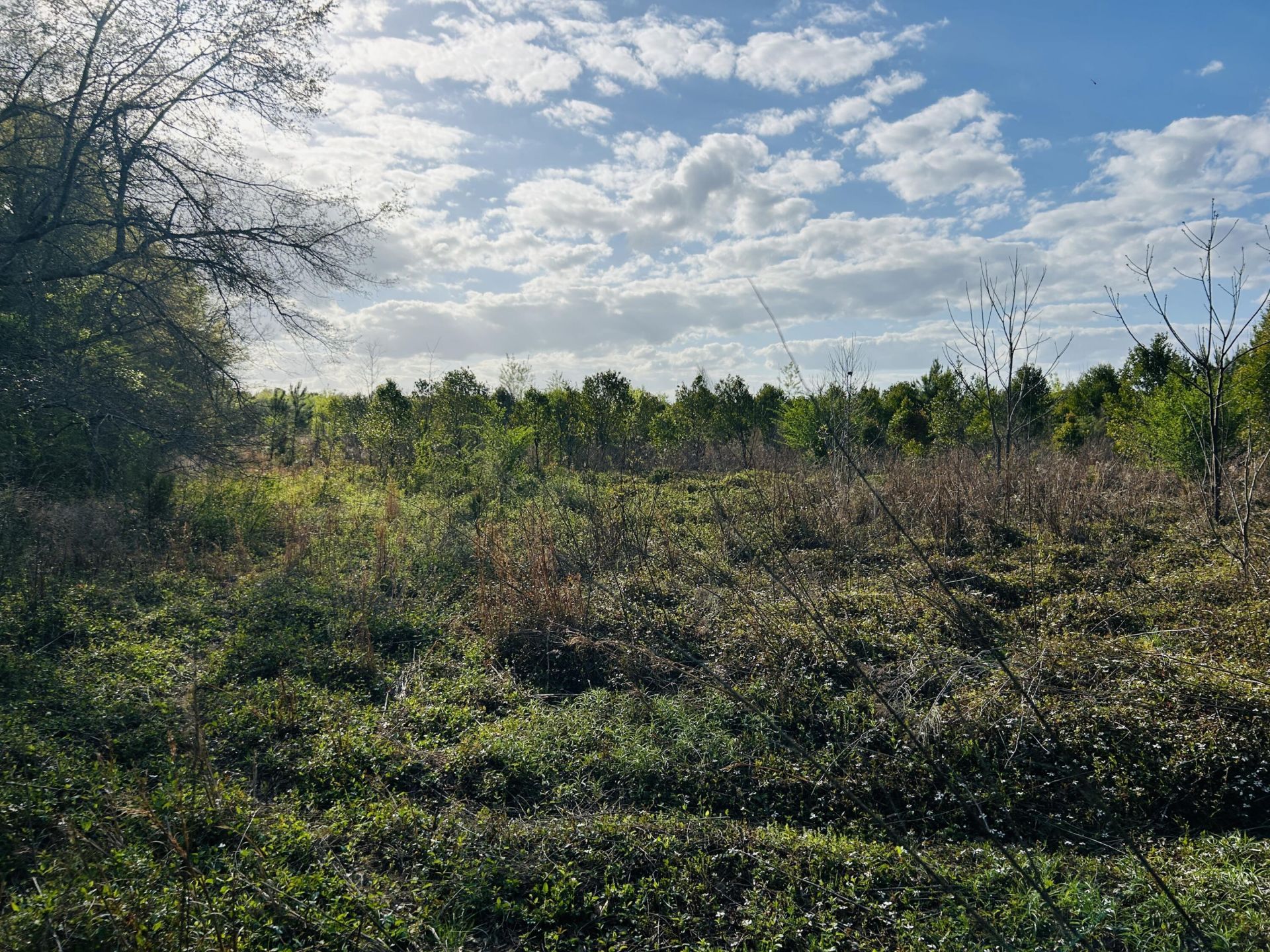 3058 Surrey Race Road Photo 24