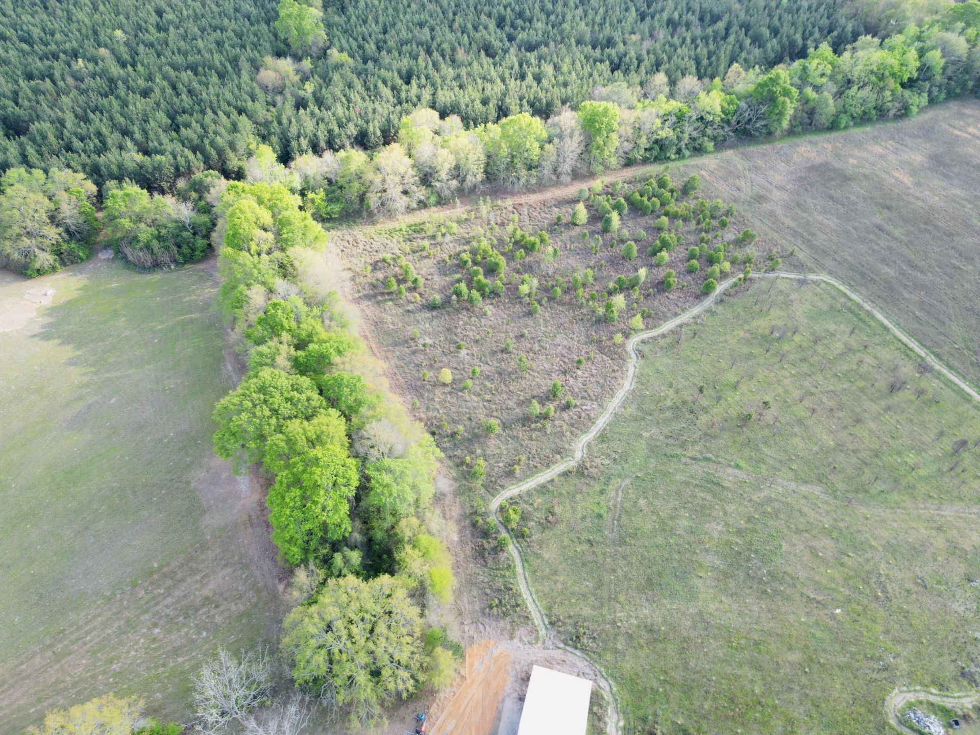 3058 Surrey Race Road Photo 5