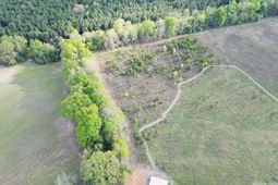 3058 Surrey Race Road photo 4