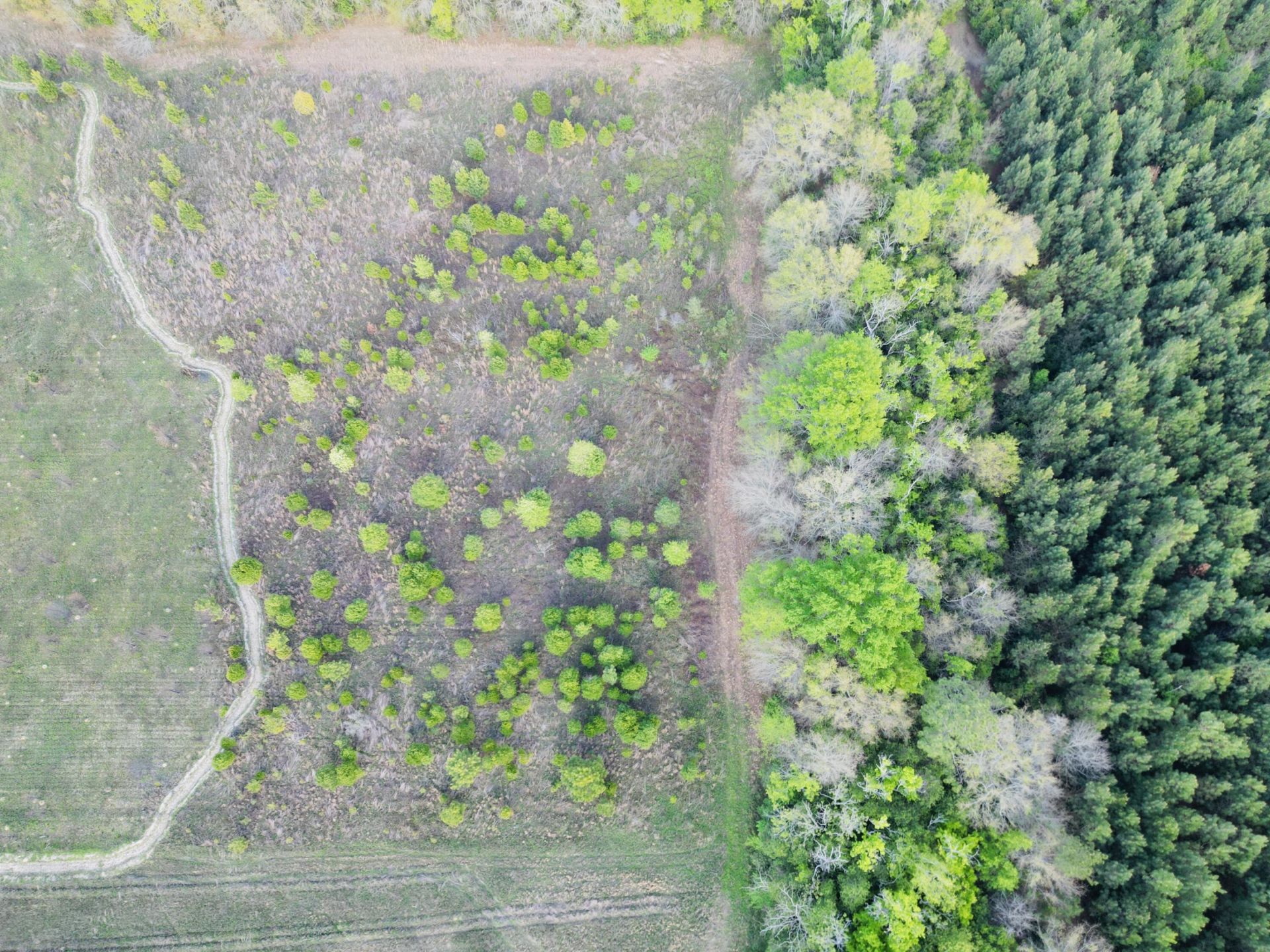 3058 Surrey Race Road Photo 7