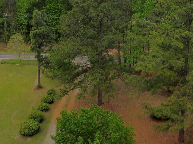 1515 Matilda Circle Photo 19