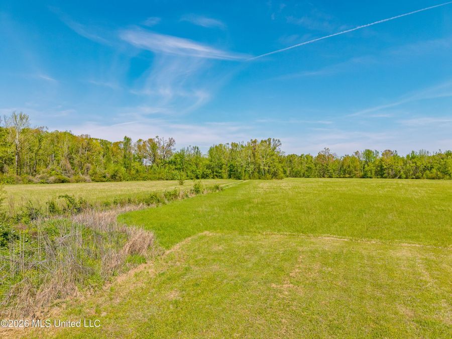 Property Image 61