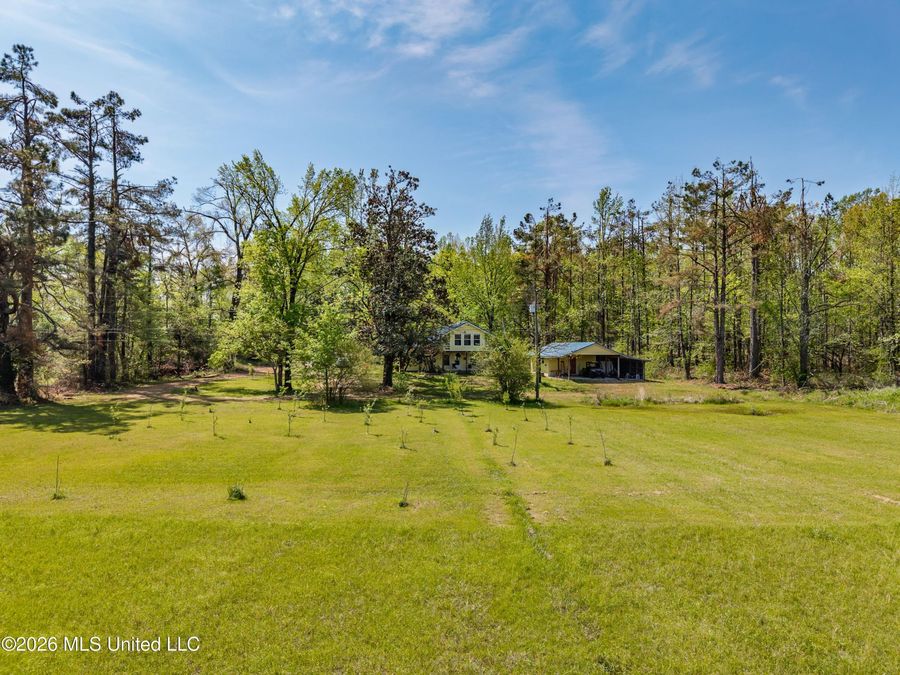 Property Image 62