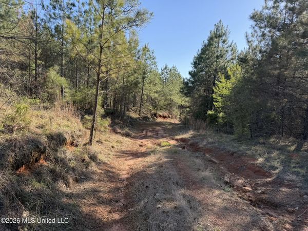 Co Rd 5005 , Kosciusko, MS 39090