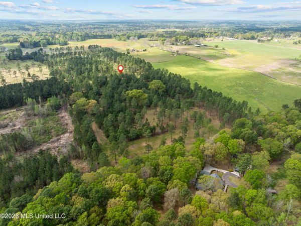 Coal Town Road, Purvis, MS 39475