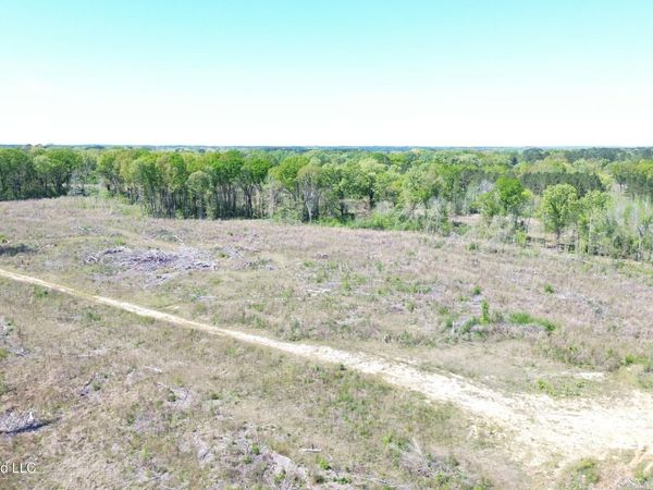 Pettey Road, Forest, MS 39074