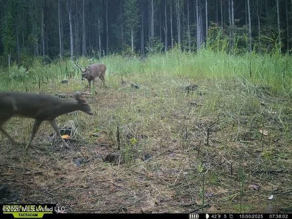 County Road 4103, Sallis, MS 39160