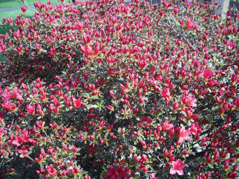 4535 San Jose Lane, Columbus, OH 43213 Photo 6