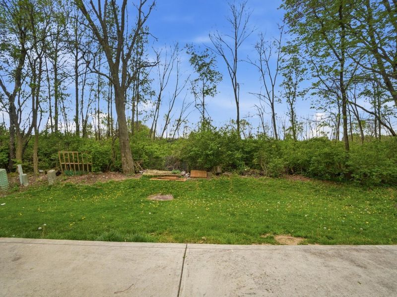 6819 Alex Drive, Canal Winchester, OH 43110 Photo 12