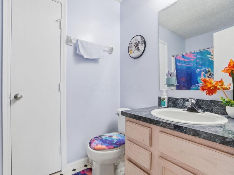 6819 Alex Drive, Canal Winchester, OH 43110 Photo 46