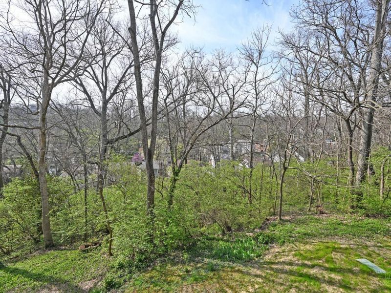 681 Totten Way, Cincinnati, OH 45226 Photo 15