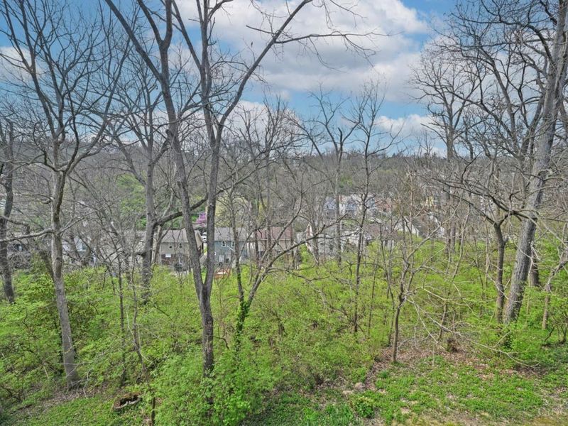 681 Totten Way, Cincinnati, OH 45226 Photo 39