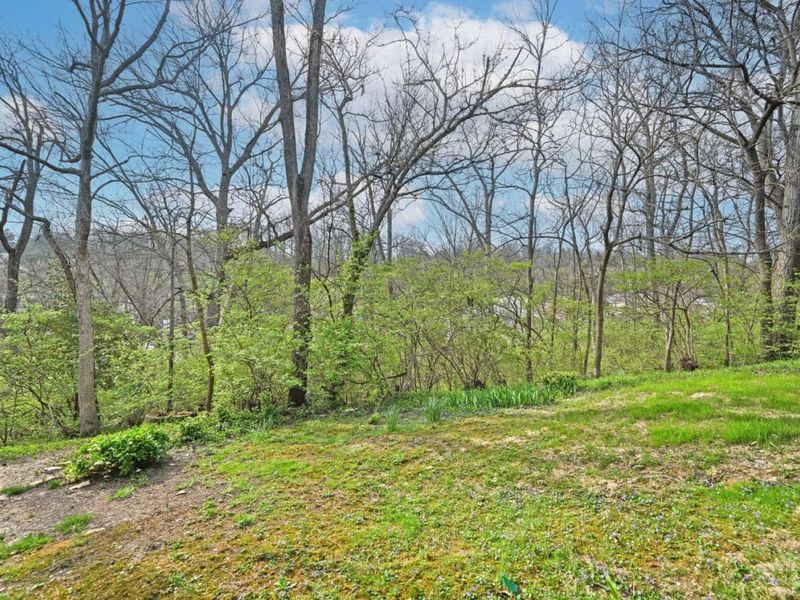 681 Totten Way, Cincinnati, OH 45226 Photo 60