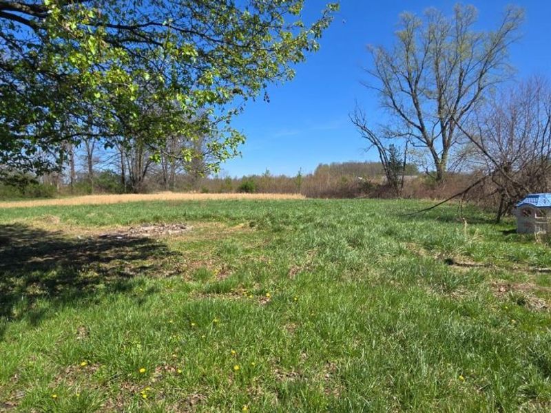 13262 Ogden Lane, Sardinia, OH 45171 Photo 3