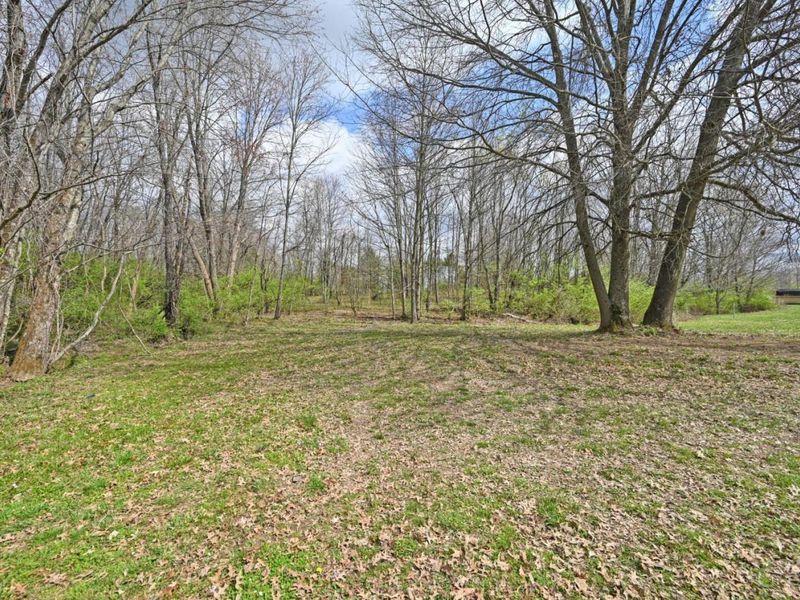 1632 Feesburg Poetown Road, Hamersville, OH 45130 Photo 52