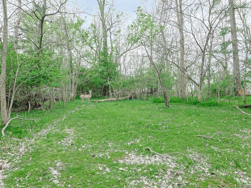 4555 Elizabeth Street, Cincinnati, OH 45242 Photo 10