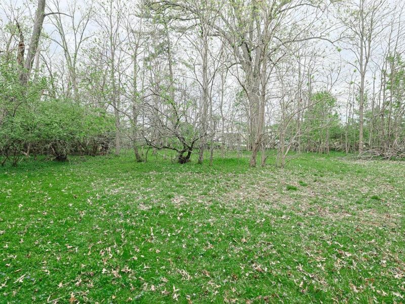 4555 Elizabeth Street, Cincinnati, OH 45242 Photo 12