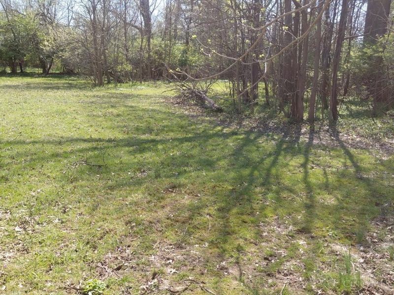 4555 Elizabeth Street, Cincinnati, OH 45242 Photo 3