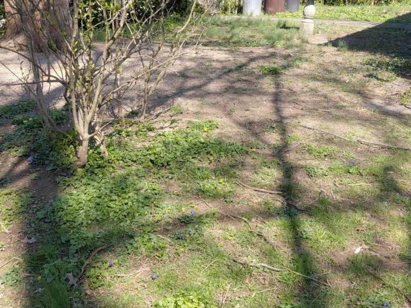 4555 Elizabeth Street, Cincinnati, OH 45242 Photo 4