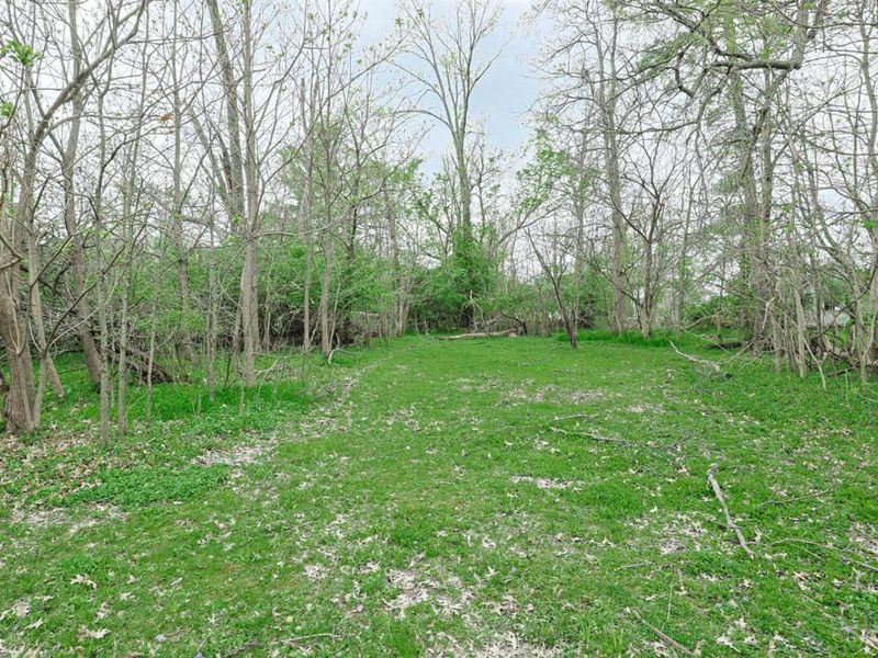 4555 Elizabeth Street, Cincinnati, OH 45242 Photo 6