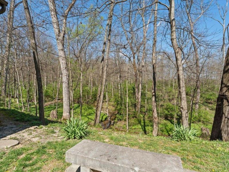 4252 State Route 276, Batavia, OH 45103 Photo 36