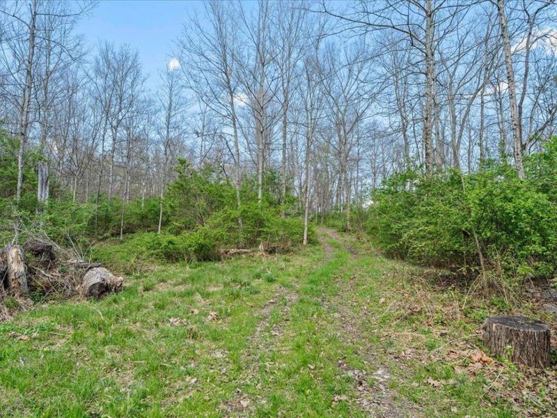 4252 State Route 276, Batavia, OH 45103 Photo 45