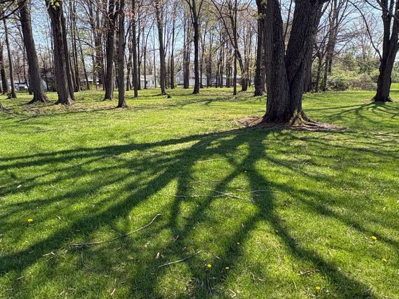 12016 2nd Avenue, Sycamore Township, OH 45249 Photo 8