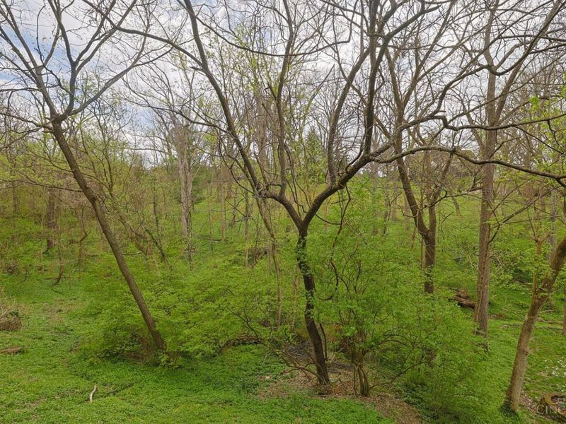 518 Missouri Avenue, Cincinnati, OH 45226 Photo 28