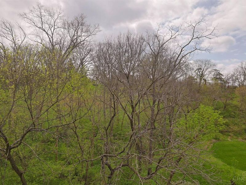 518 Missouri Avenue, Cincinnati, OH 45226 Photo 29