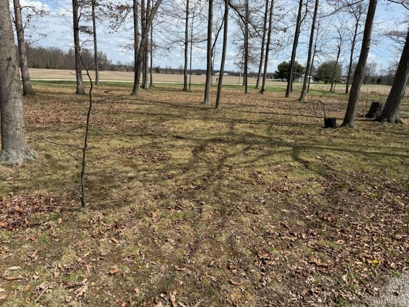 7212 George Faul Road, Washington Township, OH 45171 Photo 74