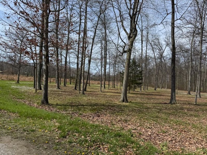 7212 George Faul Road, Washington Township, OH 45171 Photo 80