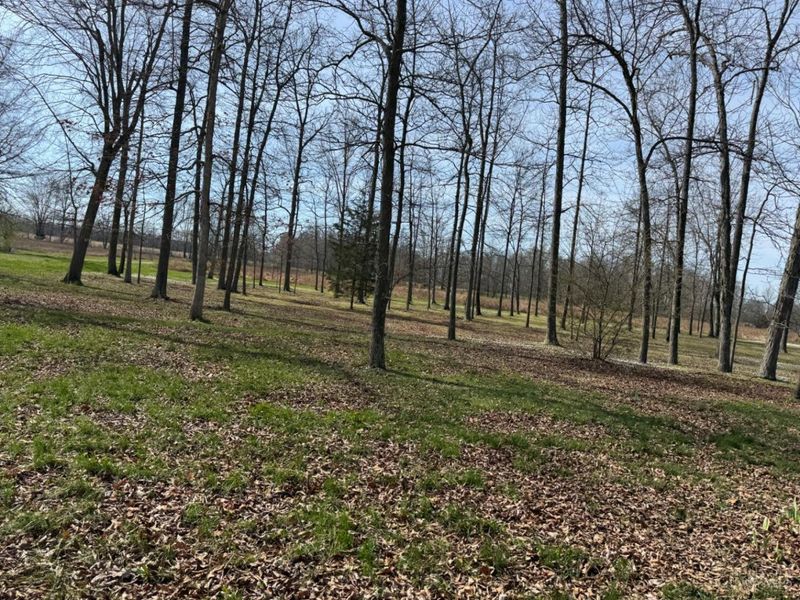 7212 George Faul Road, Washington Township, OH 45171 Photo 85