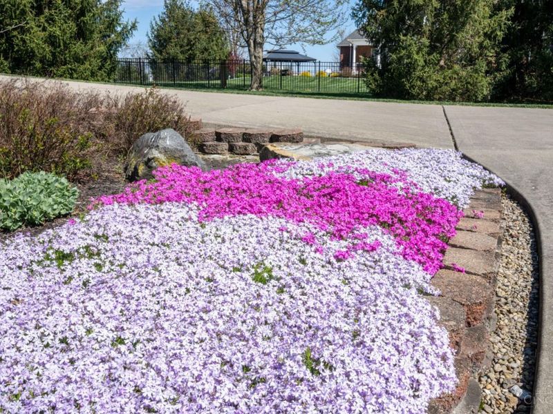 7103 Linn Lane, Liberty Township, OH 45044 Photo 16