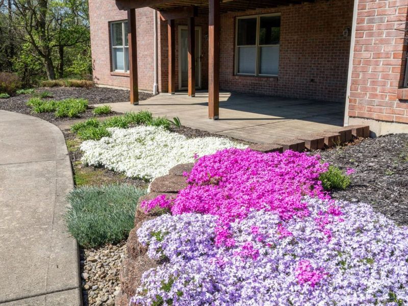 7103 Linn Lane, Liberty Township, OH 45044 Photo 17