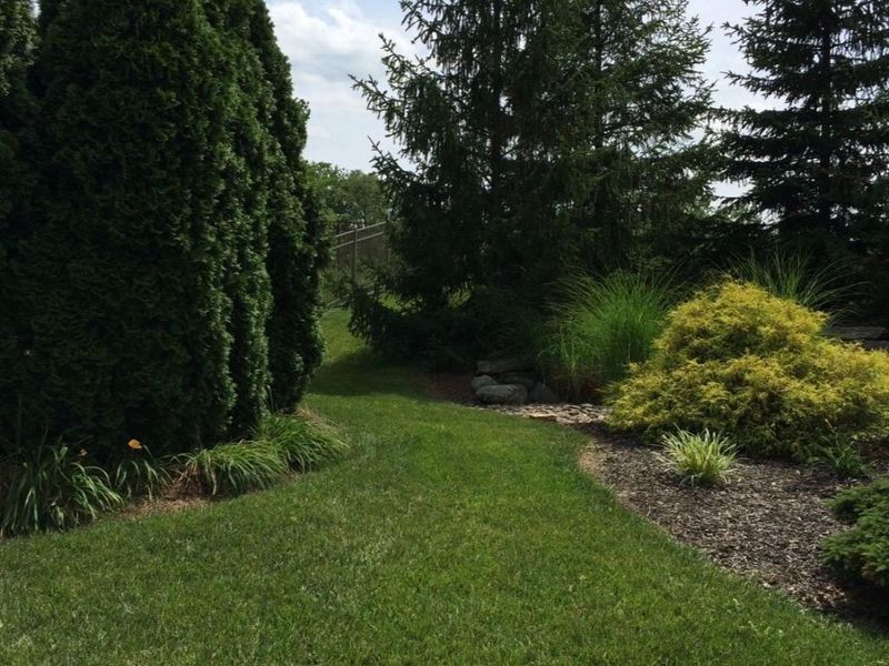 7087 Bridgetown Road, Cincinnati, OH 45248 Photo 24