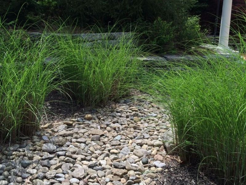 7087 Bridgetown Road, Cincinnati, OH 45248 Photo 25