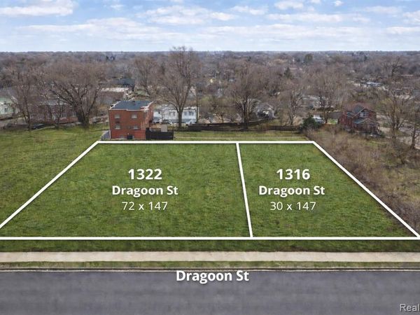 1322 Dragoon Street, Detroit, MI 48209