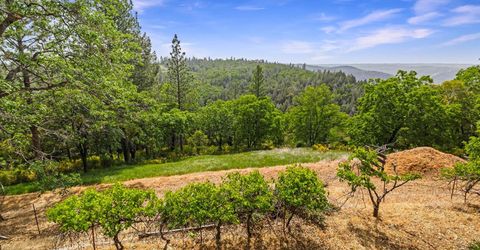 2240 Slate Ct, Greenwood, CA 95635 Photo