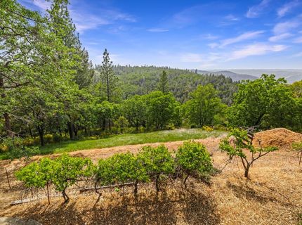 2240 Slate Ct, Greenwood, CA 95635 Photo