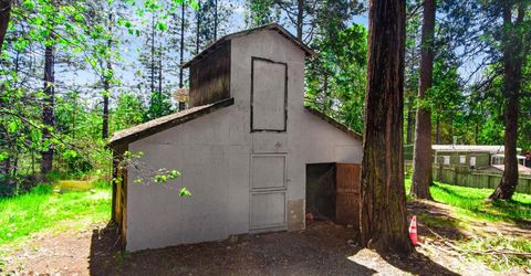 5980 Pony Express Trl, Pollock Pines, CA 95726 Photo