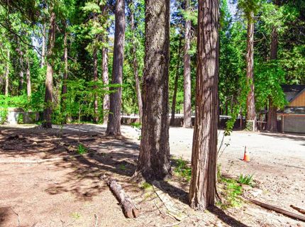 5980 Pony Express Trl, Pollock Pines, CA 95726 Photo