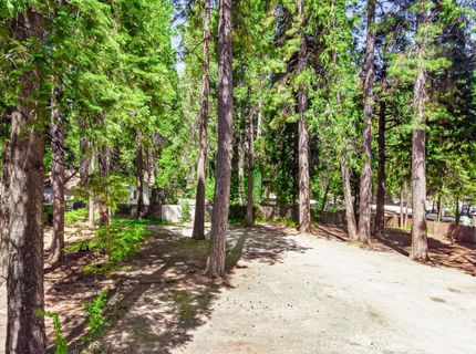 5980 Pony Express Trl, Pollock Pines, CA 95726 Photo