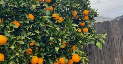 3704 Gratia Ave, Sacramento, CA 95821 Photo