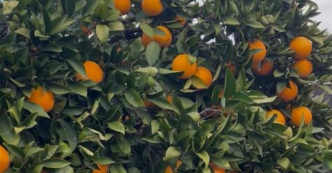 3704 Gratia Ave, Sacramento, CA 95821 Photo