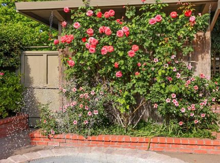 1912 Douglas Rd, Stockton, CA 95207 Photo