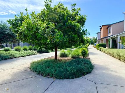 3216 Koso Ter, Davis, CA 95618 Photo