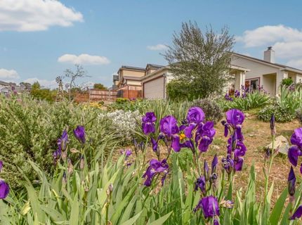 166 Placer Dr, Jackson, CA 95642 Photo