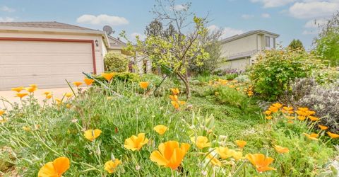 166 Placer Dr, Jackson, CA 95642 Photo