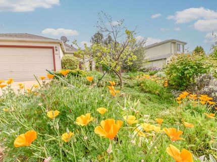 166 Placer Dr, Jackson, CA 95642 Photo