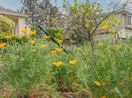166 Placer Dr, Jackson, CA 95642 Photo
